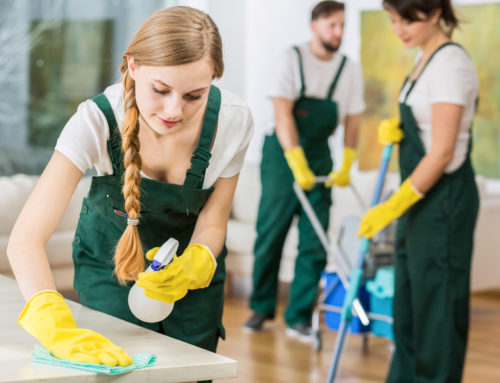 Pick the Pros: What to Look for When Hiring a Housekeeper