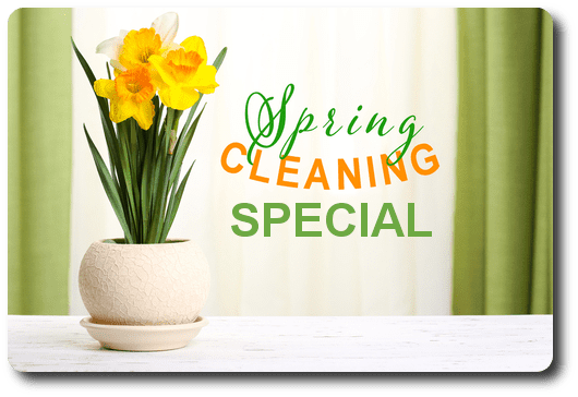 Spring Cleaning Special Spring Cleaning Special
