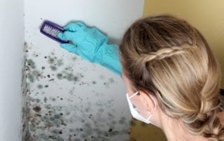 How to Kill and Clean Mold