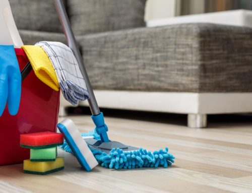 Top 4 Best Non-Toxic Cleaning Products in 2020