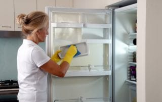 professional house cleaner