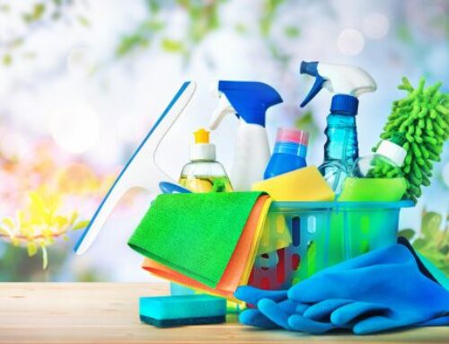 Lemon Blossom’s Signature Cleaning Services: A Deep Dive into Our Eco-Friendly Approach