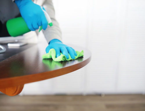 How Often Should You Use Professional House Cleaning Services?