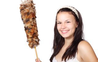 green cleaning products