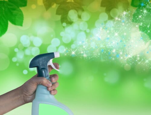 Green Cleaning Pros: Clean and Eco-Friendly!