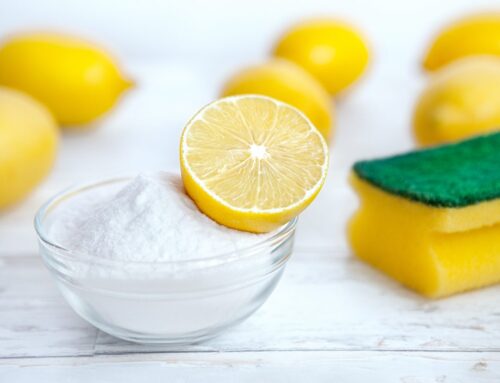 Revitalize Your Home with Lemon Blossom Cleaning Services