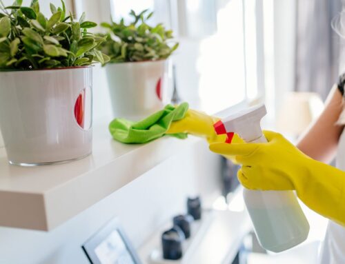 Maintaining a Clean and Healthy Home Environment