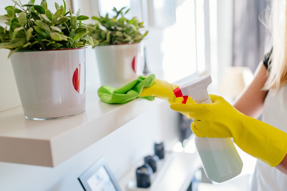 Standard Cleaning Vs Deep Cleaning: Key Differences Between Home Services